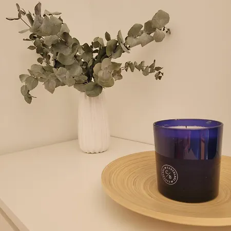 T2 Bleu - Centre Ville, Et Gare * Vallauris